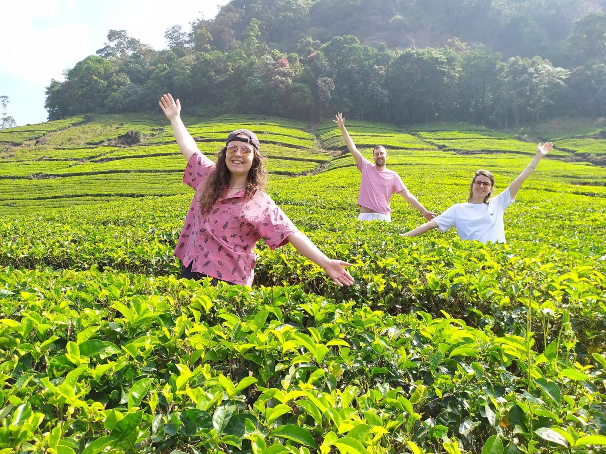 Forestscape Resort Munnar Exteriér fotografie