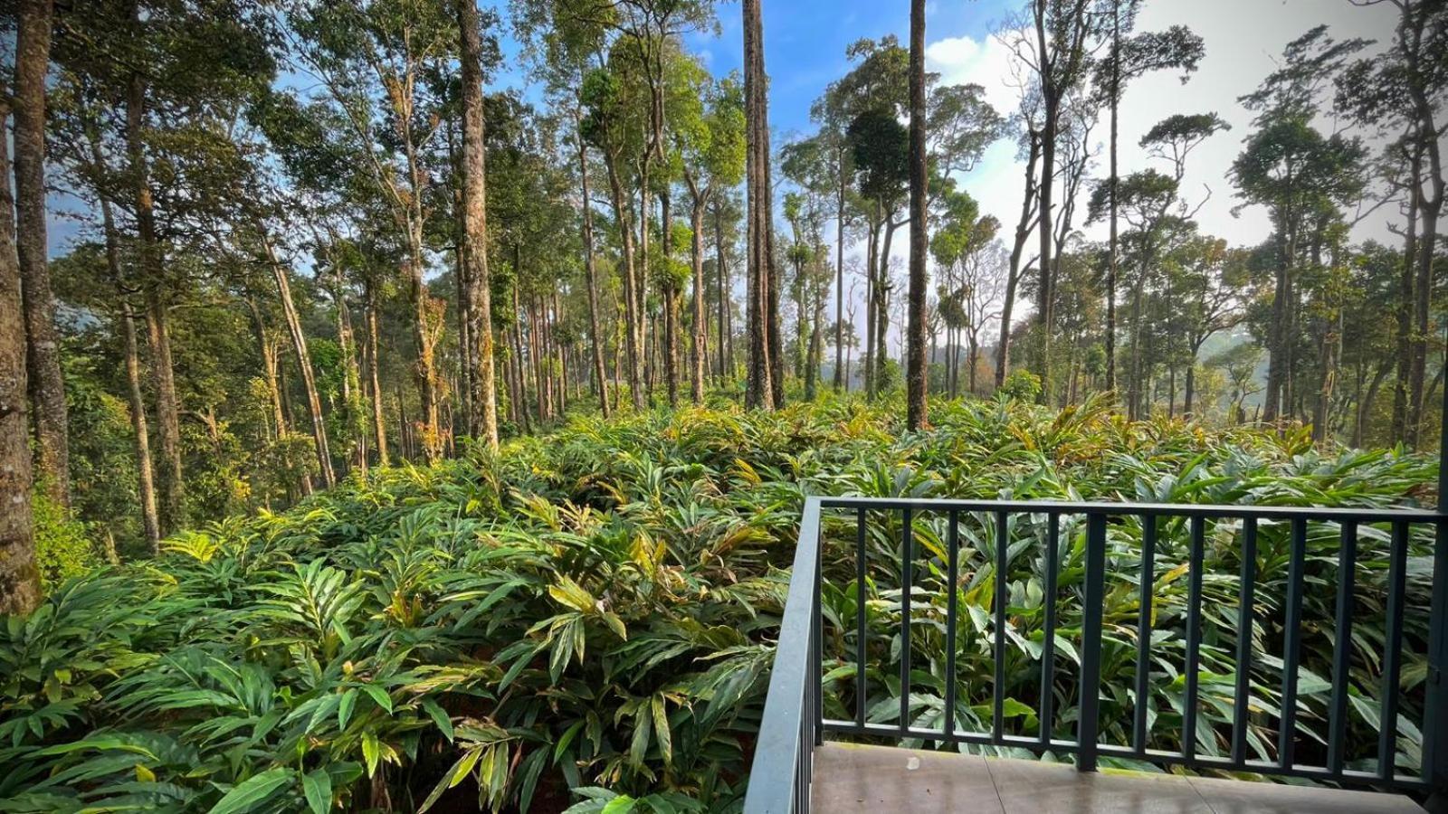 Forestscape Resort Munnar Exteriér fotografie