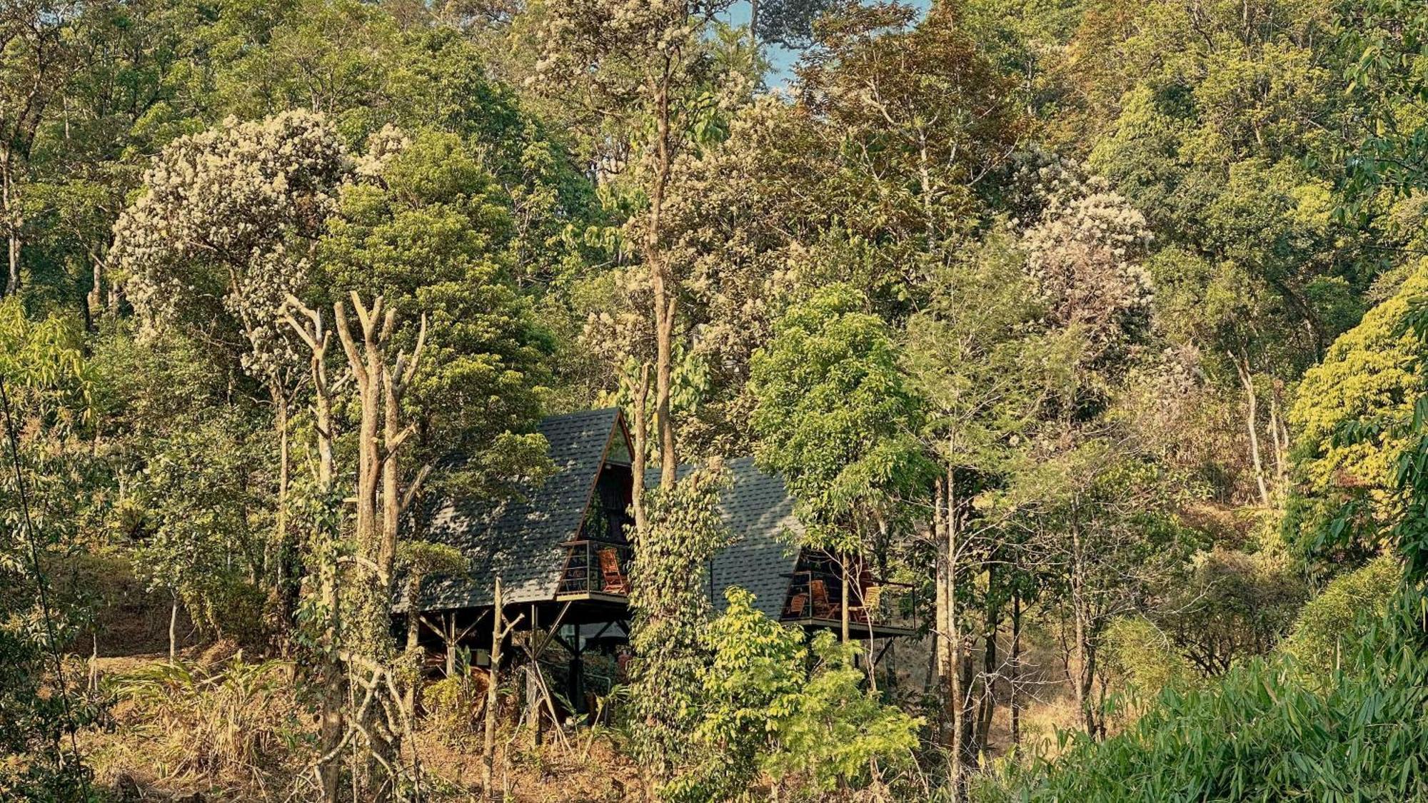 Forestscape Resort Munnar Exteriér fotografie