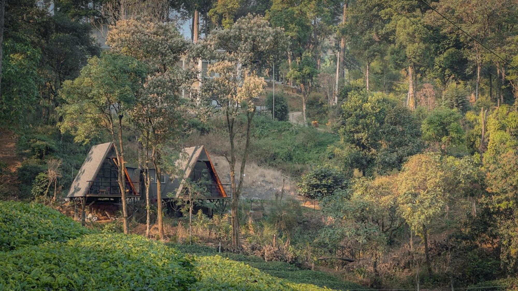 Forestscape Resort Munnar Exteriér fotografie